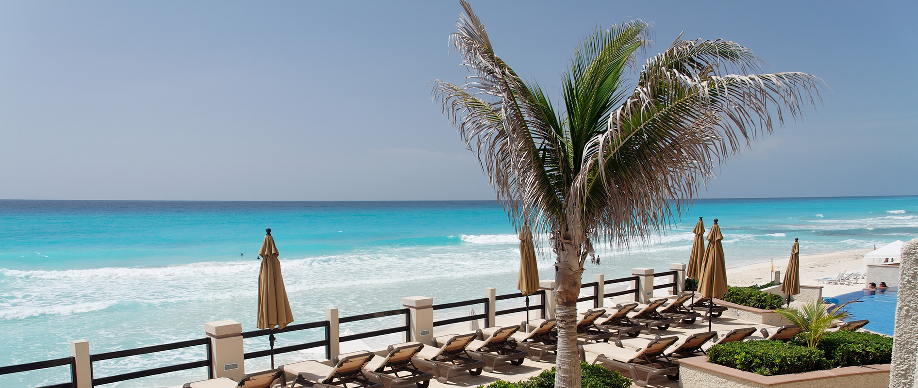 Be a Travel Agent Oceanfront resort terrace with palm tree and turquoise sea — sell travel as a travel agent